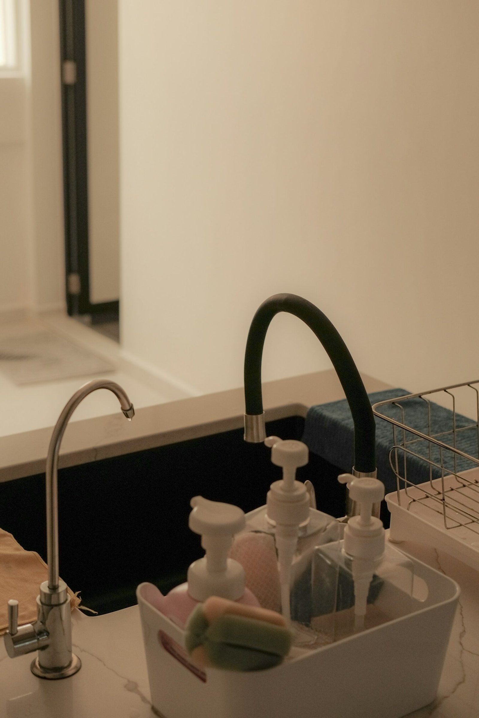 Cleaning supplies arranged inside an under sink kitchen cabinet